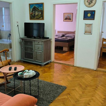 Appartamento Trosoban Stan U Zenici Zenica Esterno foto